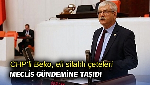 Eli silahlı çeteler Meclis gündeminde!