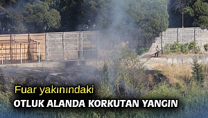 Fuar yakınındaki otluk alanda korkutan yangın