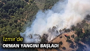  İzmir’de orman yangını başladı