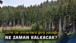 İzmir’de ormanlara giriş yasağı ne zaman kalkacak?