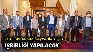 İzmir'de sokak hayvanları için işbirliği yapılacak