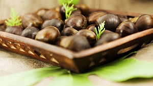 Kestane ihracatının yüzde 80’i Ege Bölgesinden yapılıyor