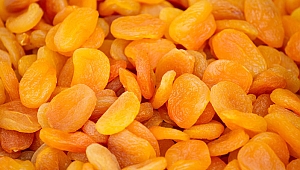 Kuru kayısı ihracatı yüzde 16 arttı