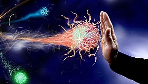 Okul çocuklarının bağışıklığı için 8 öneri