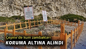 Çeşme’de kum zambakları koruma altına alındı