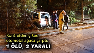 İzmir’de kontrolden çıkan otomobil ağaca çarptı: 1 ölü, 2 yaralı