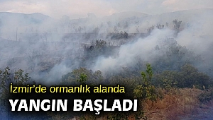 İzmir’de ormanlık alanda yangın başladı