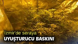 İzmir'de seraya uyuşturucu baskını