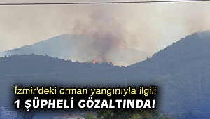 İzmir'deki orman yangınıyla ilgili 1 şüpheli gözaltında