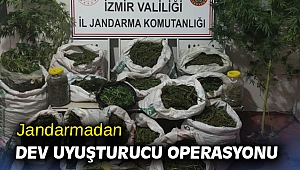 Jandarmadan dev uyuşturucu operasyonu