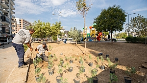 Karşıyaka’da yeşil seferberlik devam ediyor