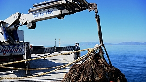 Kuşadası Körfezi’nden 40 metre hayalet ağ çıkarıldı!