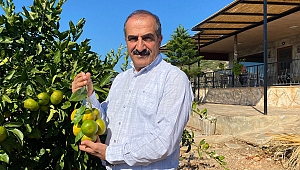 Mandalina ihracatında hedef 500 milyon dolar