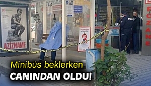 Minibüs beklerken canından oldu!