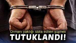 Ormanı yaktığı iddia edilen şüpheli tutuklandı