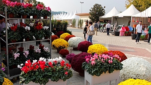 Süs bitkileri sektörünün kalbi Ödemiş’te atacak 