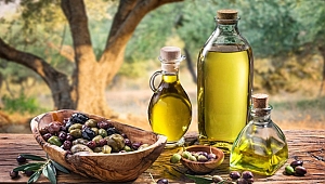 Bakanlıktan zeytin ve zeytinyağı rekolte tahmini
