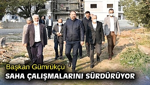 Başkan Gümrükçü saha çalışmalarını sürdürüyor