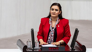 CHP’li Kılıç’tan can dostlar için aşı tedarik uyarısı