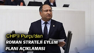 CHP'li Purçu'dan Roman Strateji Eylem Planı açıklaması