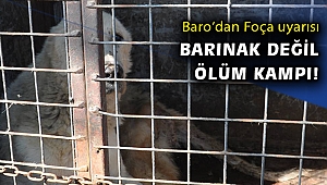 Foça Hayvan Barınağı perişan halde