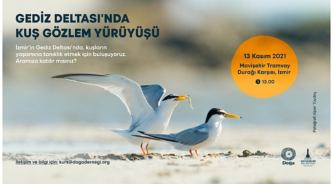 Gediz Deltası’nda kuş gözlem yürüyüşü