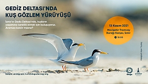 Gediz Deltası’nda kuş gözlem yürüyüşü