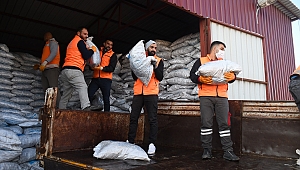 Kuşadası Belediyesi'nden 2500 aileye yakacak yardımı