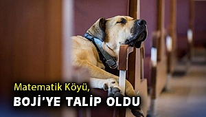 Matematik Köyü, Boji'ye talip oldu