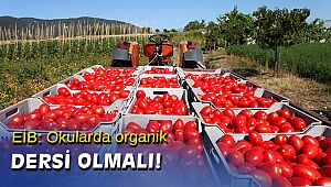 Organik sektörü çocukları radarına alacak