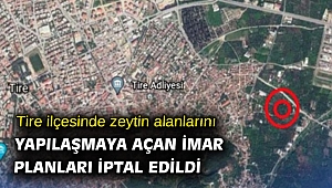 Tire ilçesinde zeytin alanlarını yapılaşmaya açan imar planları iptal edildi