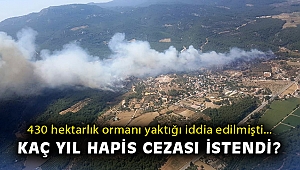 430 hektarlık ormanı yaktığı iddia edilmişti… Kaç yıl hapis cezası istendi?