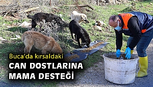 Buca’da kırsaldaki can dostlarına mama desteği