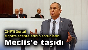 CHP'li Sertel sigorta acentelerinin sorunlarını Meclis'e taşıdı