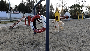 Gaziemir’de köpeklere özel park açıldı