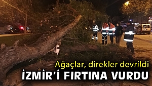 İzmir'de fırtına... Elektrik direklerini devirdi, ağaçları kökünden söktü