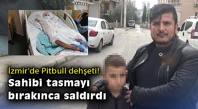 İzmir&#39;de Pitbull dehşeti: Sahibi tasmayı bırakınca saldırdı - İzmir Haberleri - Öncü Şehir Gazetesi