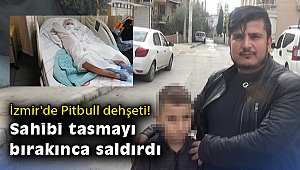İzmir'de Pitbull dehşeti: Sahibi tasmayı bırakınca saldırdı