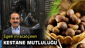 Kestane ihracatı ton başına 930 dolar arttı