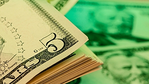 Merkez Bankası günlük kur rakamını ve altın fiyatını açıkladı