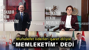 Muhalefet liderleri işaret diliyle “Memleketim” dedi