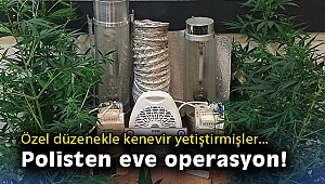 Özel düzenekle kenevir yetiştirilen eve operasyon