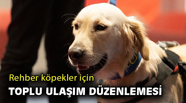 Rehber köpekler için toplu ulaşımda düzenleme