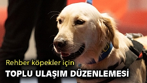 Rehber köpekler için toplu ulaşımda düzenleme