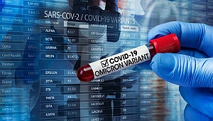 Sağlık Bakanlığı Omicron varyantı görülen illeri açıkladı