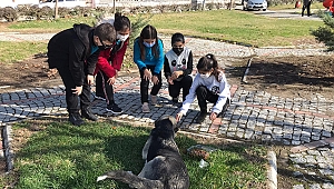Sokak hayvanları için ortaokul öğrencilerinden Avrupa Birliği Projesi
