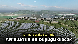 Topraksız tarımda Avrupa liderliğine
