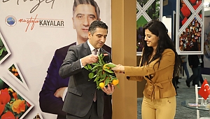 Travel Turkey'de Menderes rüzgarı