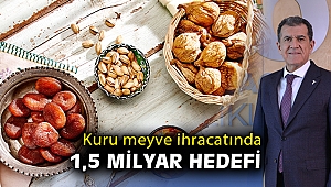 Türk ve Alman Kuru Meyve Sektörleri Online Platformda bir araya geliyor