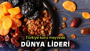 Türkiye kuru meyvede dünya lideri